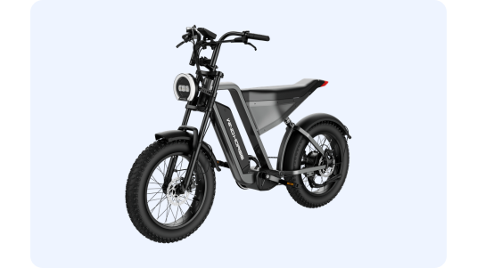 Electric Scooters