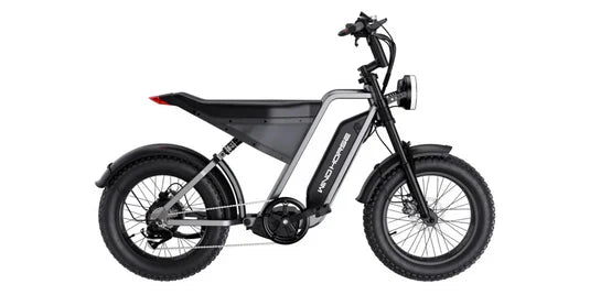 Electric Scooters