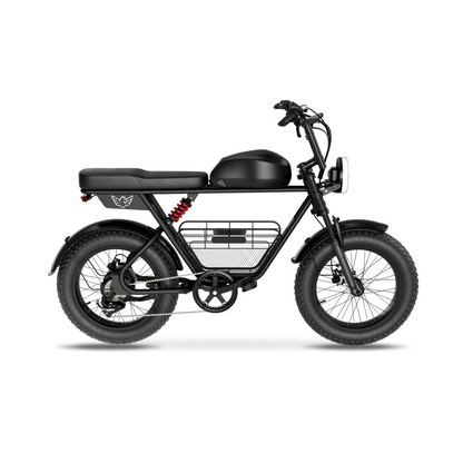 Wind Horse Electric Scooter 1000W 50KM Range 110KM Speed, D5