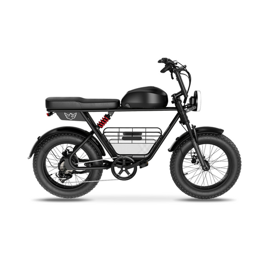 Wind Horse Electric Scooter 1000W 50KM Range 110KM Speed, D5