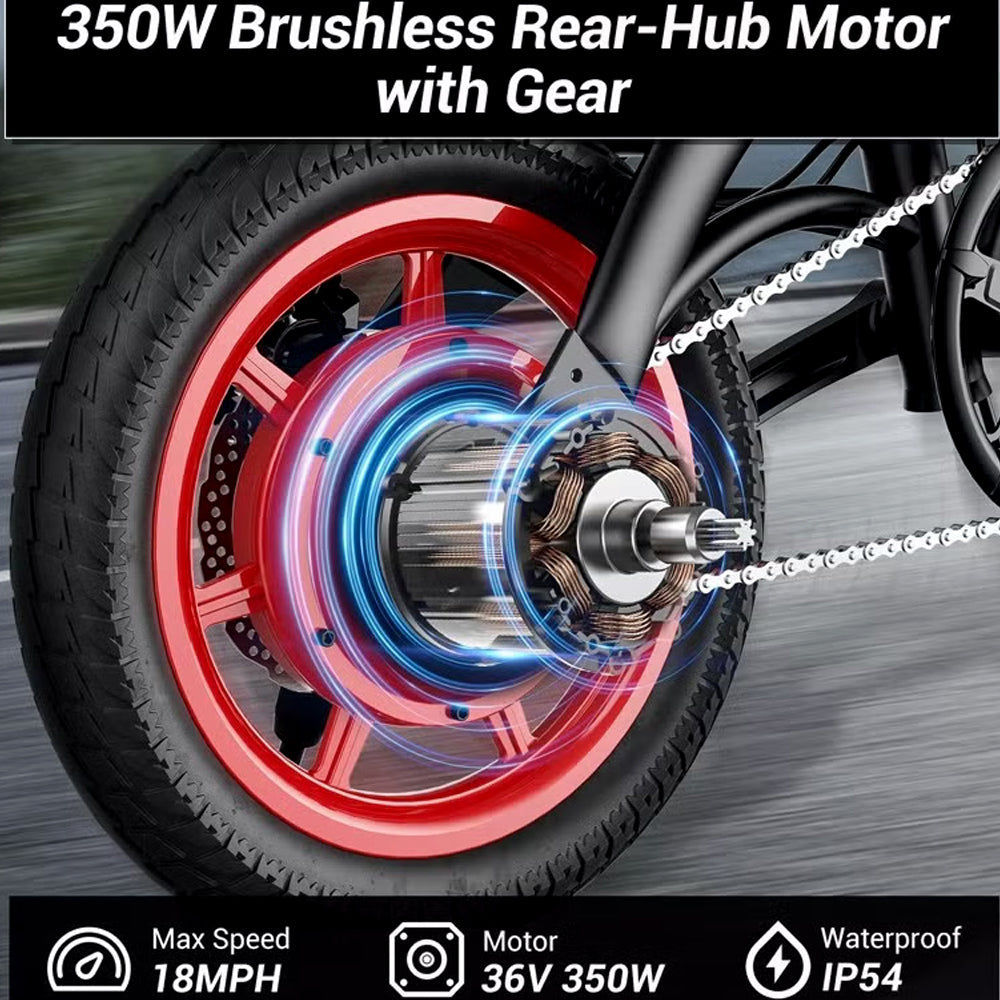Wind Horse Folding Electric Bike, C19 - 1 Year Warranty