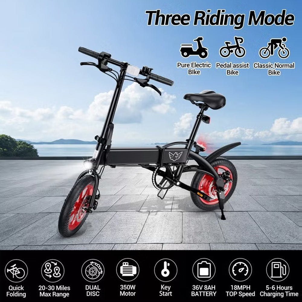 Wind Horse Folding Electric Bike, C19 - 1 Year Warranty