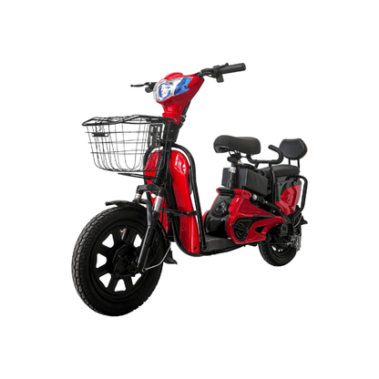 Wind Horse M2 Electric Bike, M2