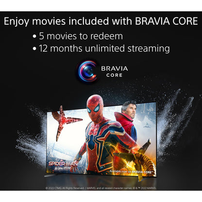 Sony 100 inch Smart Full Array LED TV - 4K - 120Hz, XR-100X92