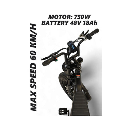 Wind Horse V8 Mini Electric Bike