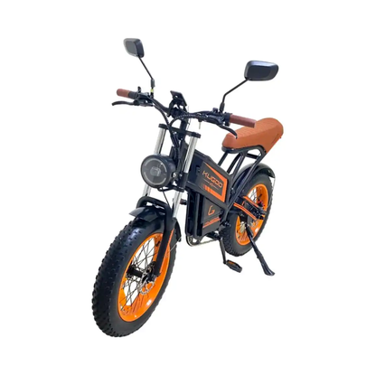 Kugoo V5 Electric Scooter