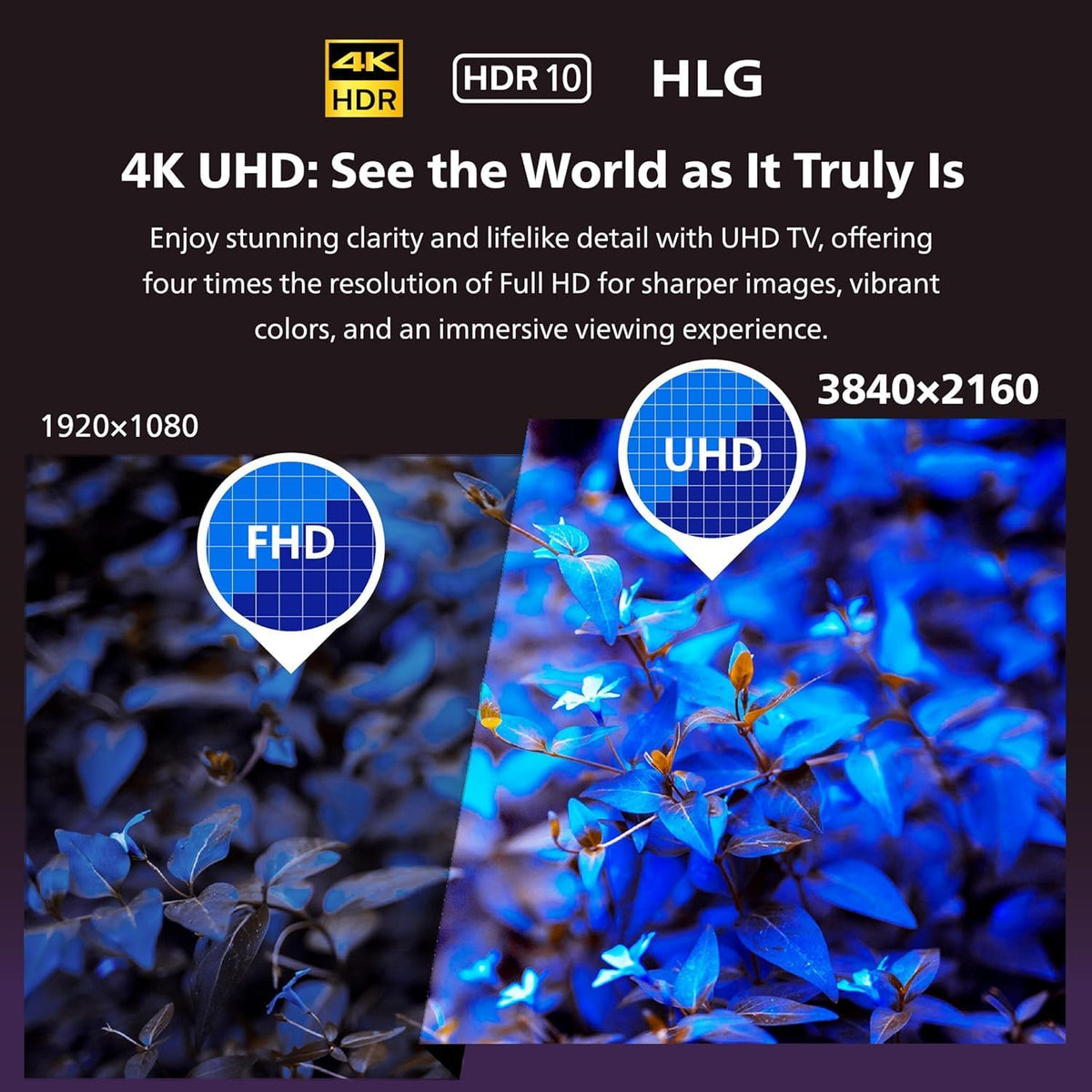Philips 50 inch Smart QLED TV - 4K - 60Hz, 50PQT8169