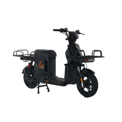 Kugoo T3 Electric Scooter