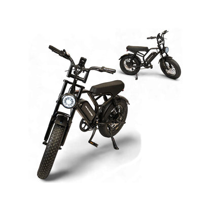 Wind Horse V8 Mini Electric Bike