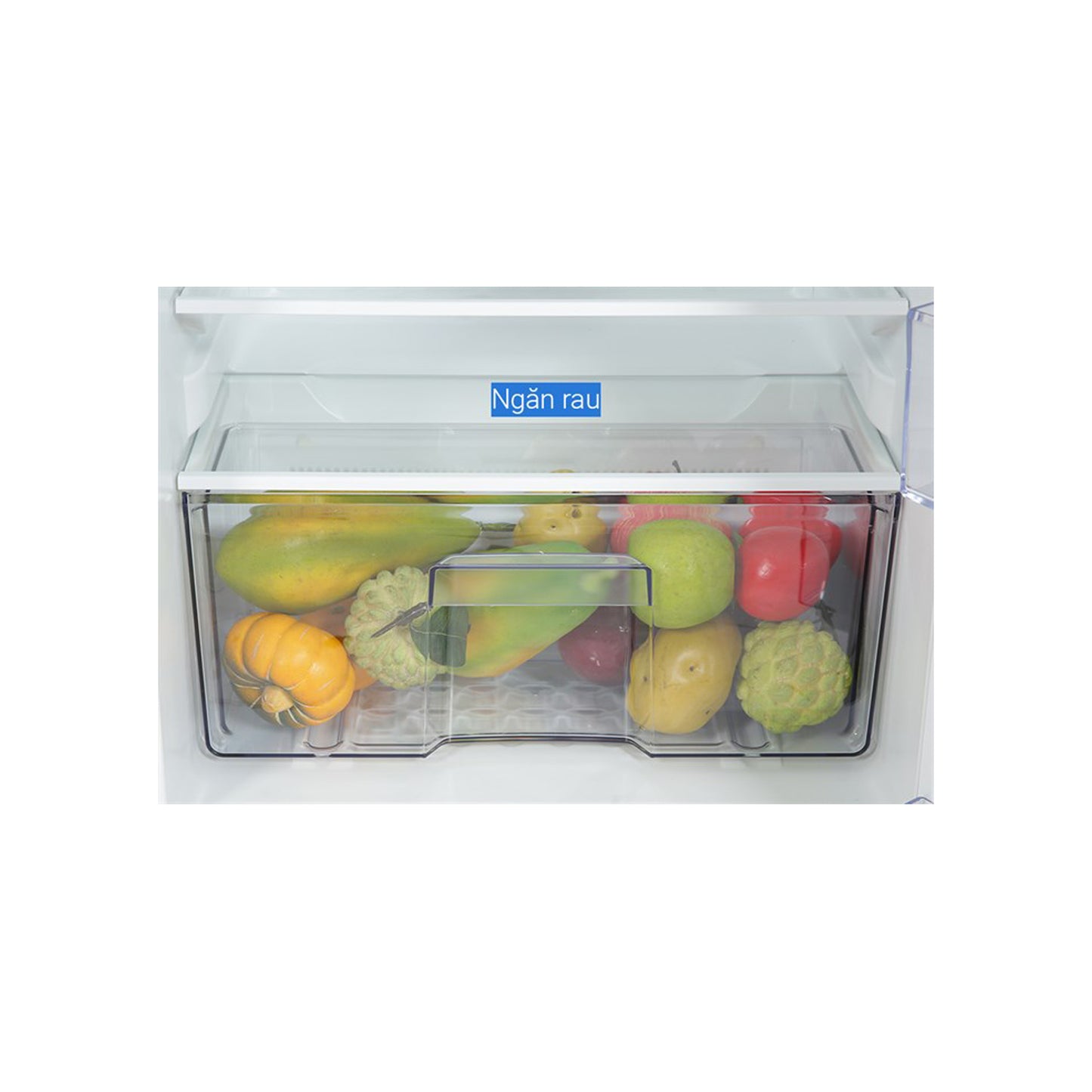 Beko 200L Double Door Refrigerator - 1 Year Warranty