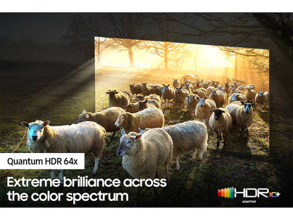 Samsung 65" Smart Neo QLED TV - 8K - 120Hz, 65QN800C
