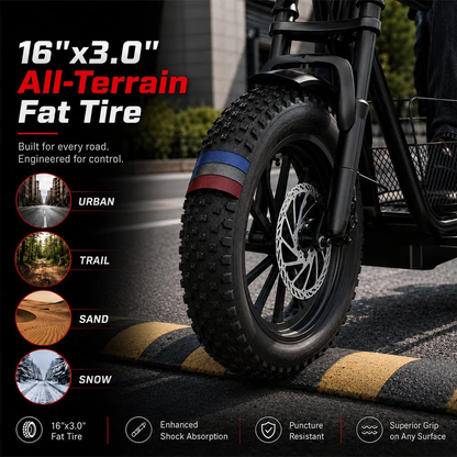 Wind Horse Electric Bike 750W 50KM Range 32KM Speed, D1